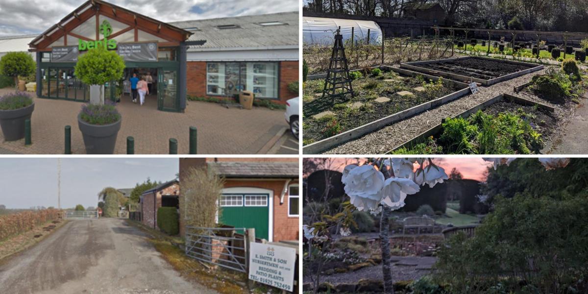 6 of the best garden centers you can visit in Warrington