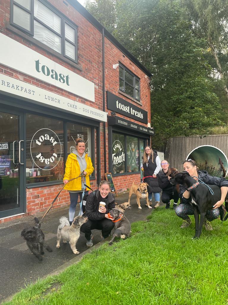 Group dog walks with Cheshire Dogs Home 