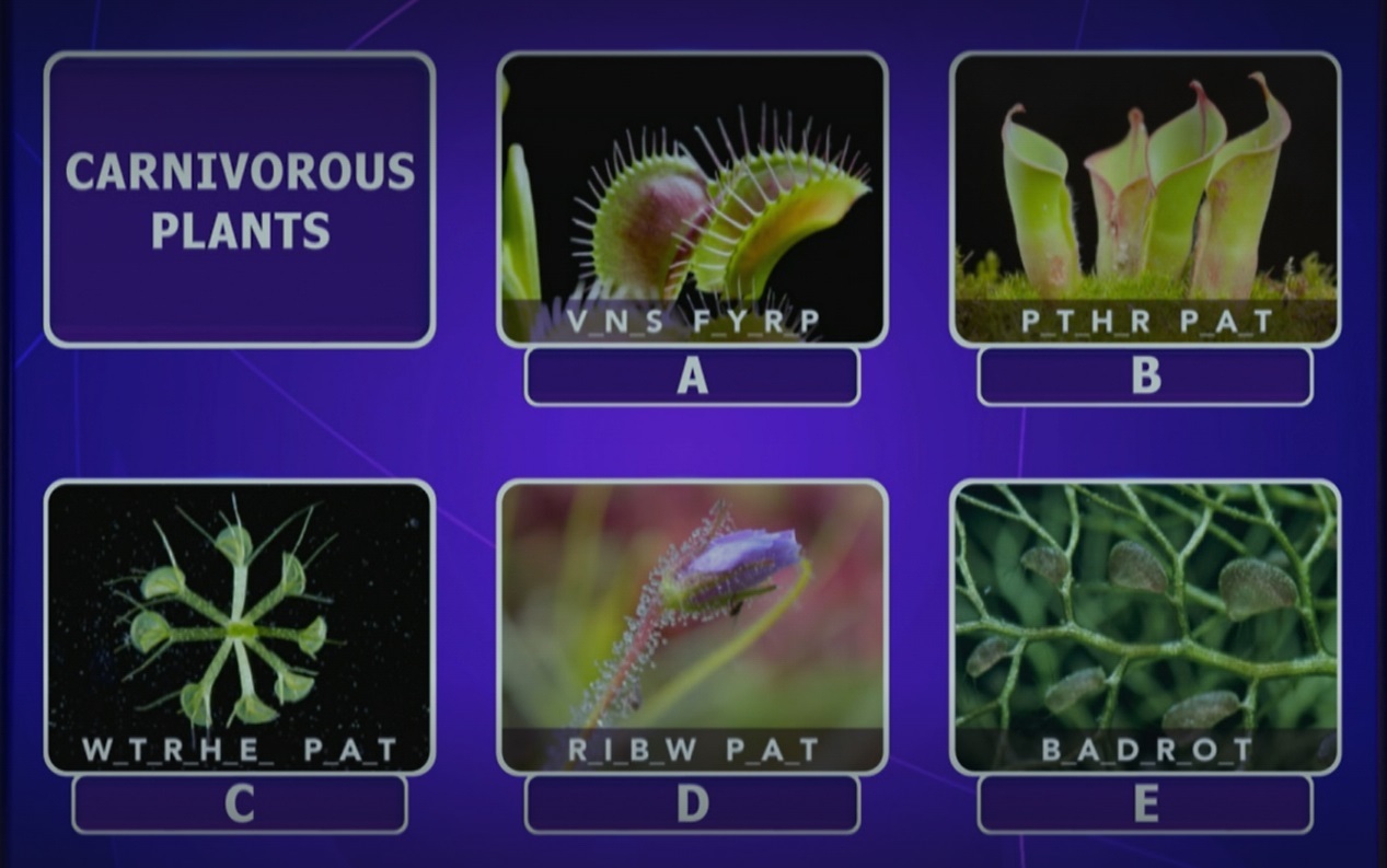 Can you spot these carnivorous plants? (Image BBC)