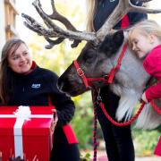 Win the chance for a real reindeer to deliver Frozen II goodies