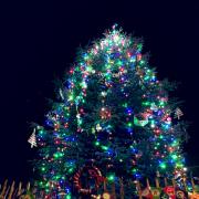 The Christmas tree (Photo: Twitter @charlotte2153)