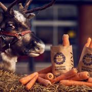 Morrisons is giving out FREE wonky carrots for Rudolph