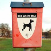 Police working with rugby clubs and council to deal with issue of dog poo on pitches