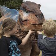 Dinosaur experience visits Knowsley Safari Park - but for one week only