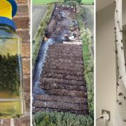 Residents in Culcheth have been plagued by high levels of flies in the area for months