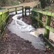 A popular woodland trail in Thelwall has flooded due to intense rainfall
