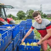 Farmer David Fryer grows fresh produce for guests to enjoy in a converted barn at Groobarbs Wild Farm