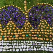 Lymm Rocks came together to paint more than 400 individual rocks in order to form a Coronation Day display