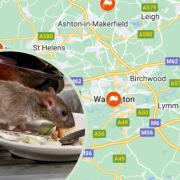 Thousands of rat infestations have been reported in Warrington since 2020