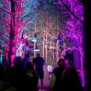 Partridge Lakes will host a Halloween light trail next month