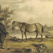 Old Billy and Henry Harrison from Warrington Museum’s collections