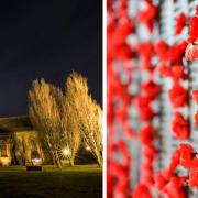 A festival of remembrance will take place at St Elphin's Church