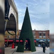 Christmas trees have been spotted in the centre of Warrington