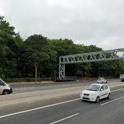 Trees along the area's motorway network will be impacted. Picture: Google Maps