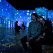 Immersive Van Gogh art attraction comes to Merseyside this summer
