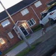 A deer was spotted racing through a housing estate in Great Sankey