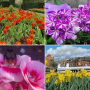 17 picture perfect Warrington gardens in full bloom this spring