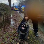 Police dog helped officers locate suspect armed with weapon in Warrington