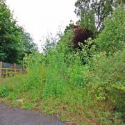 Chance to own a two-acre plot of land in Warrington