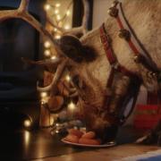 How you can film Santa's reindeer visiting your home this Christmas