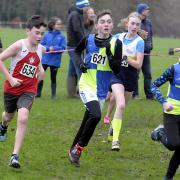 Cheshire Cross Country Championships 2019 at Birchwood Forest Park. Picture: Mike Boden