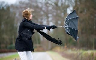 Residents warned as immediate weather warning for strong winds issued