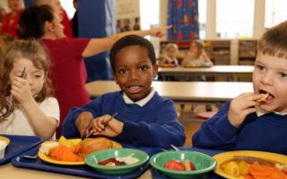 Many councillors in Warrington are calling on the Government to extend free school meals to all children