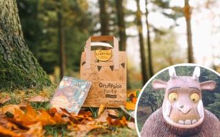 The new Gruffalo party trail has launched at Delamere Forest this month